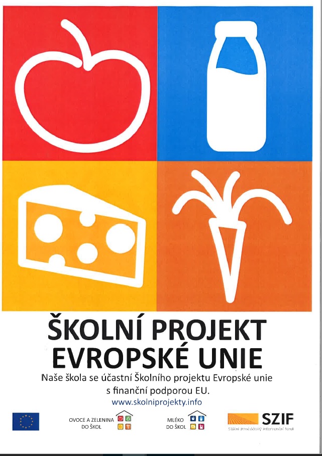 školní projekt EU