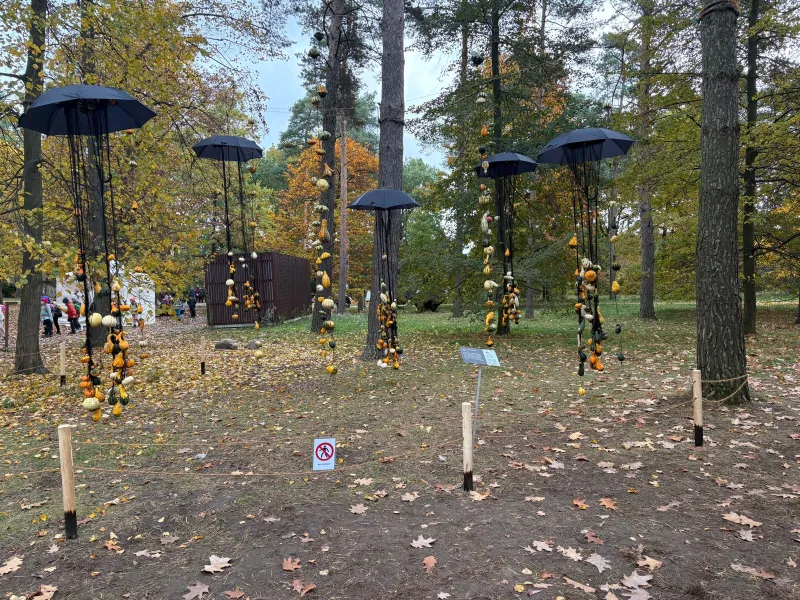 výstava dýní
